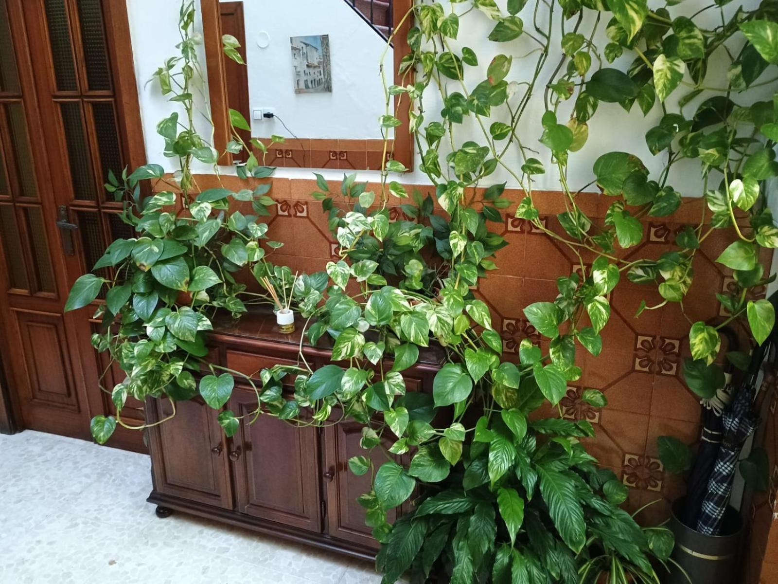 Casa Matbel Córdoba Exterior foto
